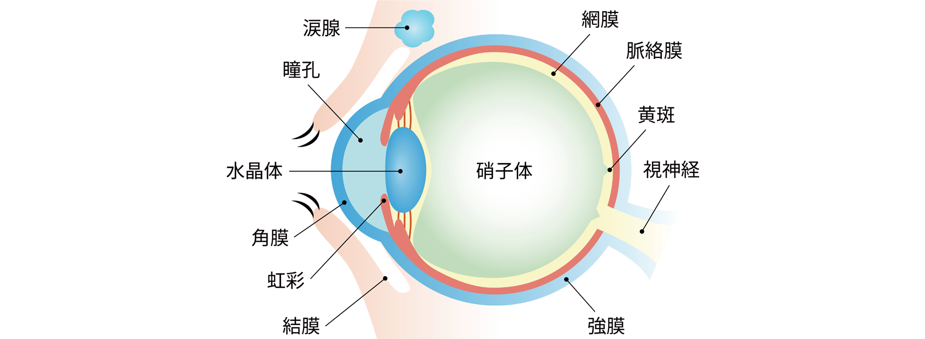 診療の様子